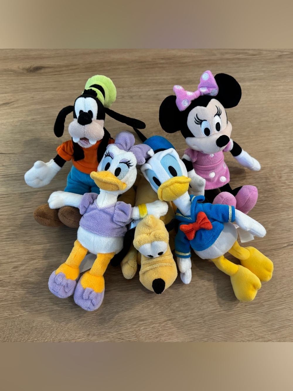 Disney Plush Set - Minnie, Donald, Daisy, Goofy & Pluto - Multicolor